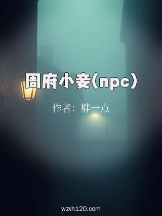 周府小妾(npc)