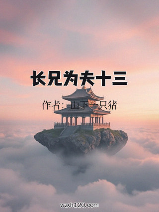 长兄为夫十三