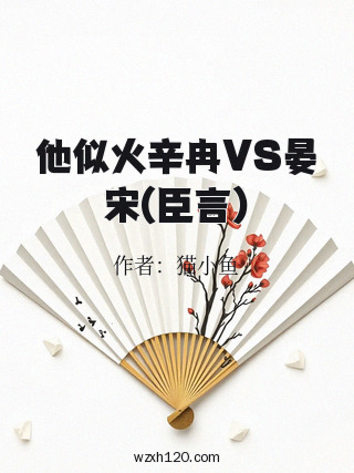 他似火辛冉VS晏宋(臣言)