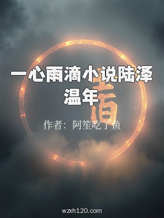 一心雨滴小说陆泽温年