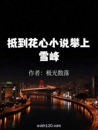 抵到花心小说攀上雪峰