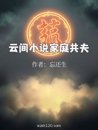 云间小说家庭共夫