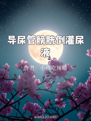 导尿管膀胱倒灌尿液