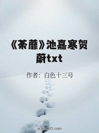 《荼蘼》池嘉寒贺蔚txt
