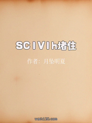SC1V1h堵住