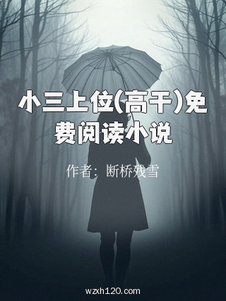 小三上位(高干)免费阅读小说
