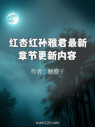 红杏红孙雅君最新章节更新内容