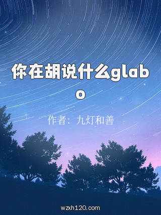 你在胡说什么glabo