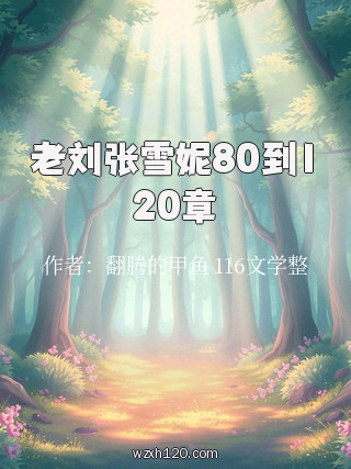 老刘张雪妮80到120章