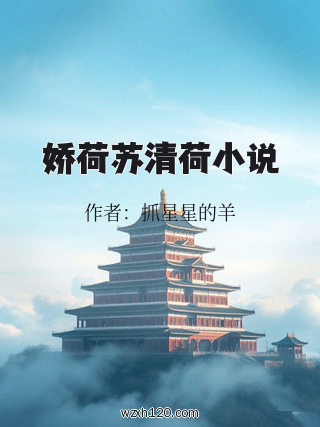 娇荷苏清荷小说