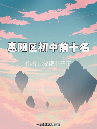惠阳区初中前十名