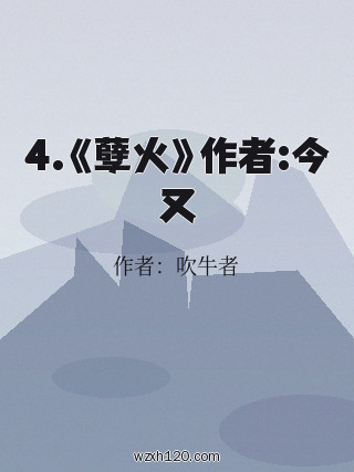 4.《孽火》作者:今又