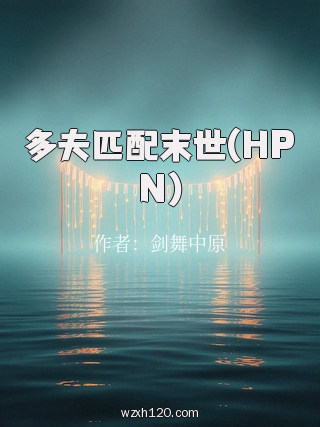 多夫匹配末世(HPN)