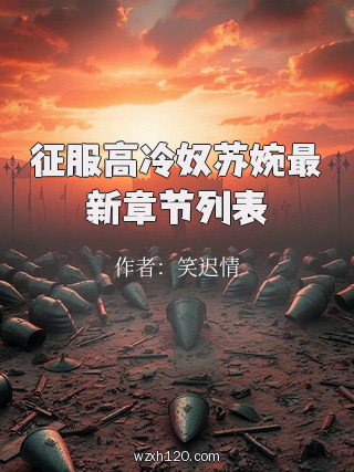 征服高冷奴苏婉最新章节列表