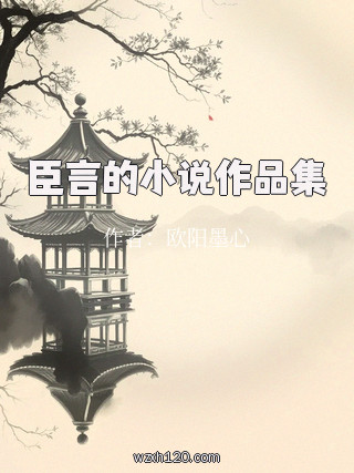臣言的小说作品集