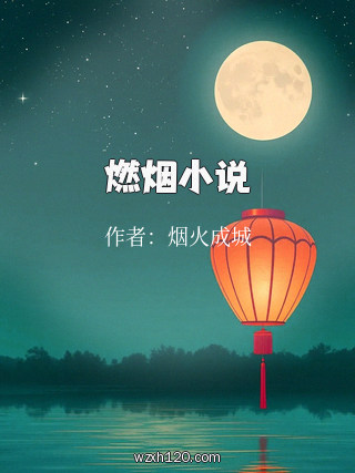 燃烟小说