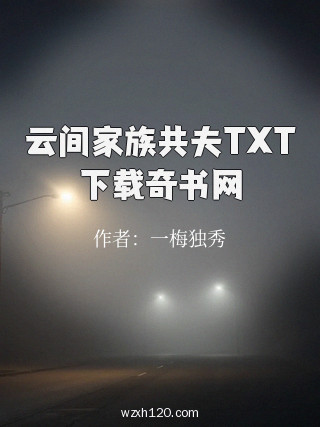 云间家族共夫TXT下载奇书网