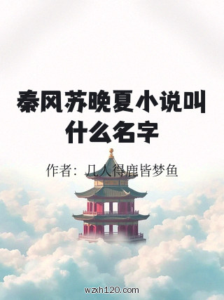 秦风苏晚夏小说叫什么名字