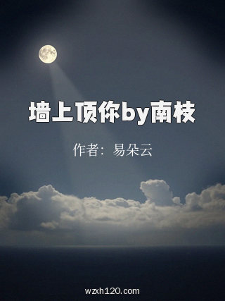 墙上顶你by南枝