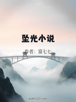 坠光小说