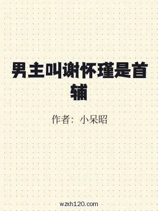 男主叫谢怀瑾是首辅