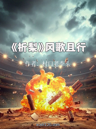 《折梨》风歌且行