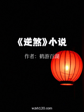 《逆煞》小说