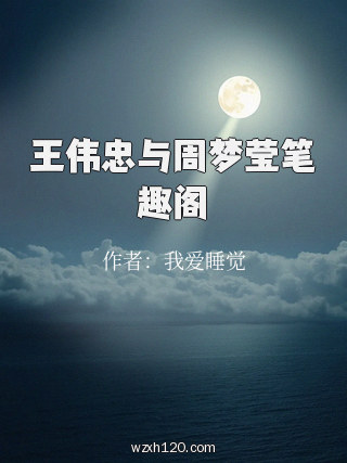 王伟忠与周梦莹笔趣阁