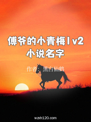 傅爷的小青梅1v2小说名字