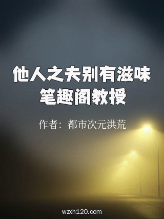 他人之夫别有滋味笔趣阁教授