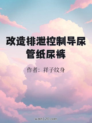 改造排泄控制导尿管纸尿裤