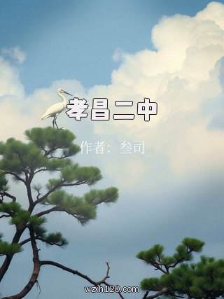 孝昌二中