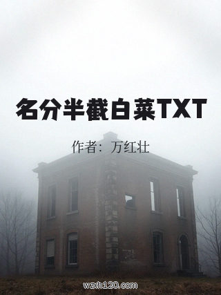 名分半截白菜TXT