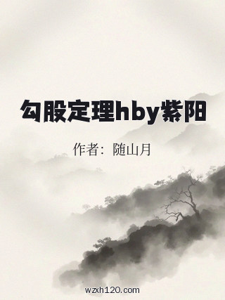 勾股定理hby紫阳