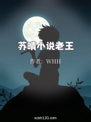 苏晴小说老王