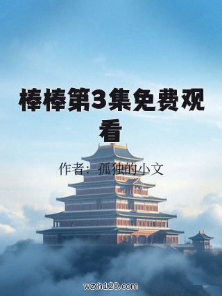 棒棒第3集免费观看