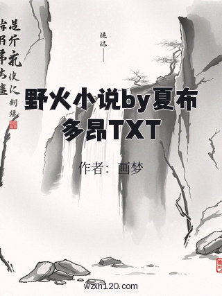 野火小说by夏布多昂TXT