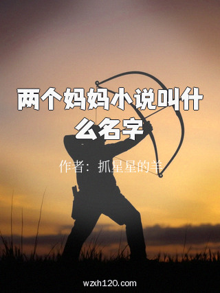 两个妈妈小说叫什么名字