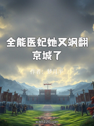 全能医妃她又飒翻京城了