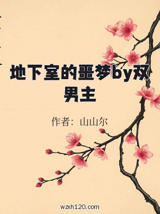 地下室的噩梦by双男主