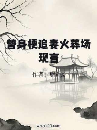 替身梗追妻火葬场现言