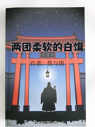两团柔软的白馍