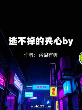 逃不掉的夹心by
