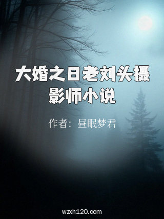 大婚之日老刘头摄影师小说