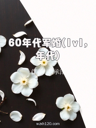 60年代军婚(1v1,年代)