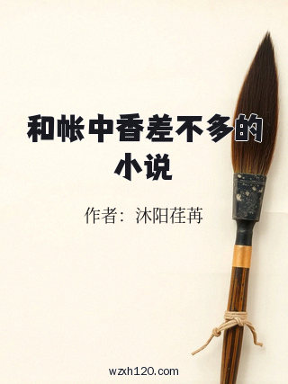和帐中香差不多的小说