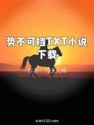 势不可挡TXT小说下载