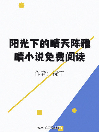 阳光下的晴天陈雅晴小说免费阅读