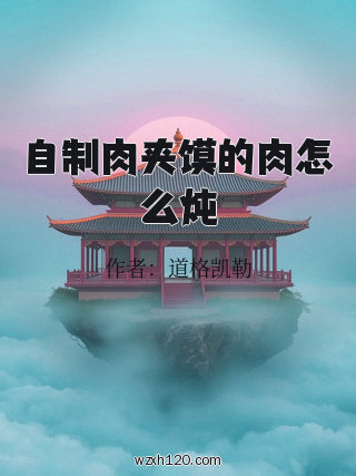 自制肉夹馍的肉怎么炖