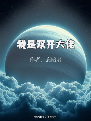 我是双开大佬